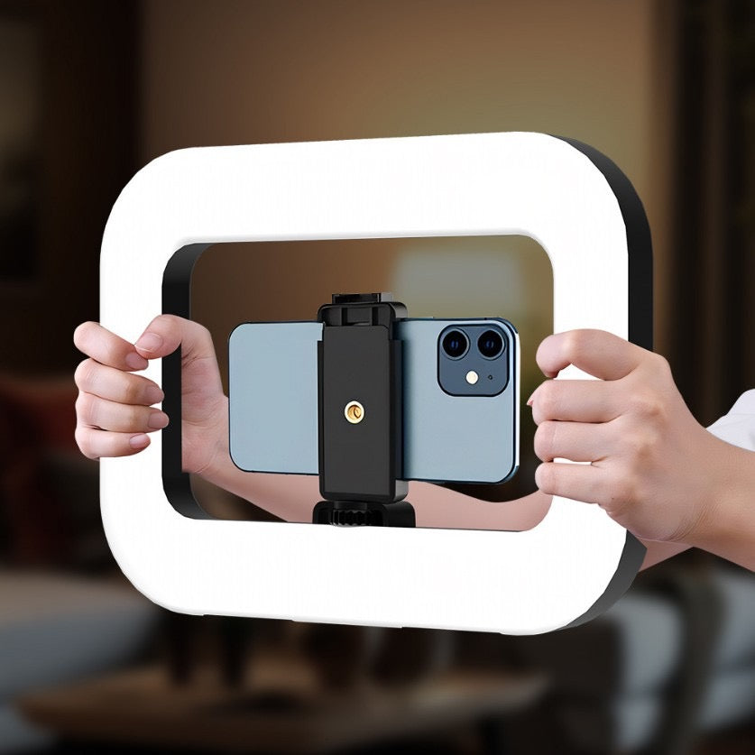 Handheld light